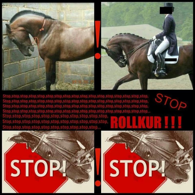 Call for ban on abusive horse training worldwide World Bitless